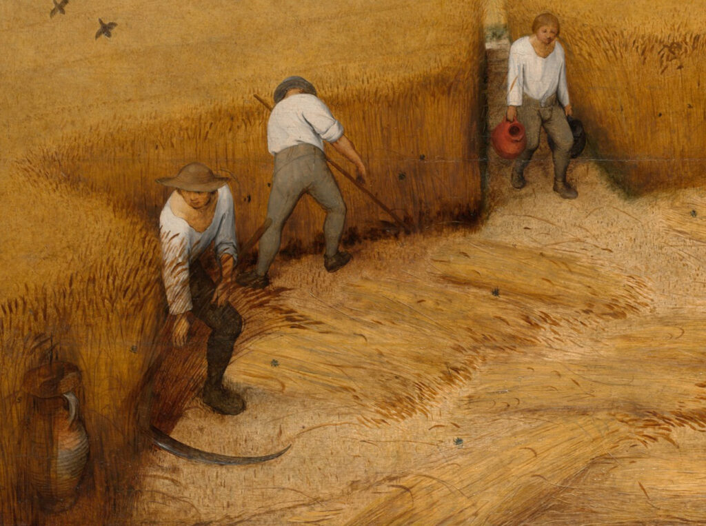 Detail: boy climbing the pear tree in Bruegel's The Harvesters (1565)